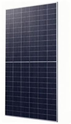 710W Bifacial Dual Glass Solar Panel, Monocrystalline 132 Cells, 22.86% Efficiency, IP68 Rated